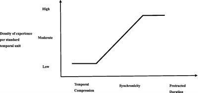 The metacognitive experience of time passing in Chinese college students: scale development, structure verification, and influencing factors